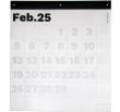 Calendari plàning paret Wall Planner. 12 fulles independents (una per mes). 
P...